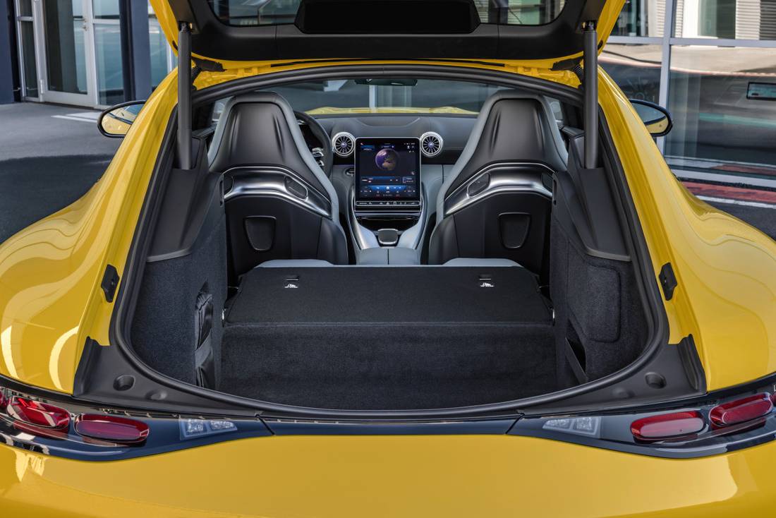 mercedes-amg_gt_43_coupe_79