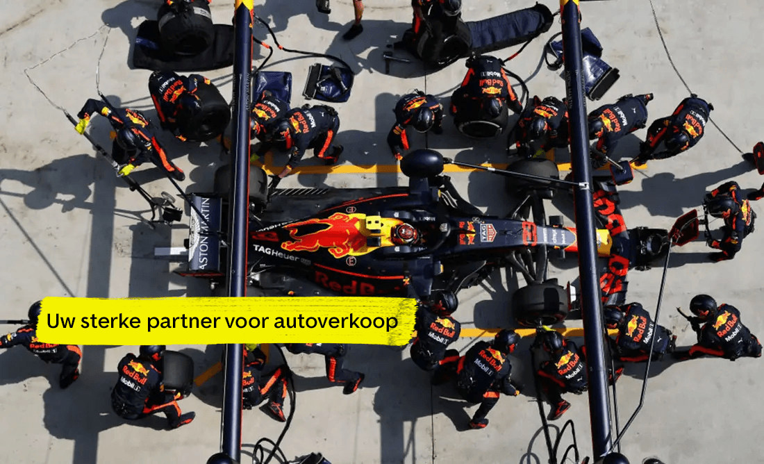 dealeromgeving NL
