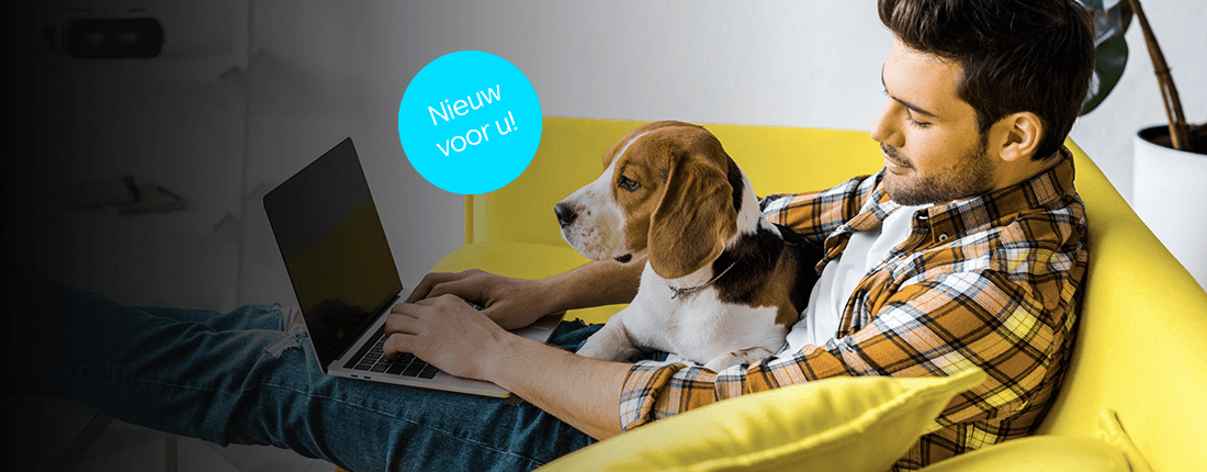 LP Header Ranking NL